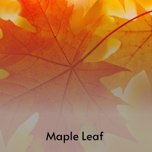 Maple Leaf