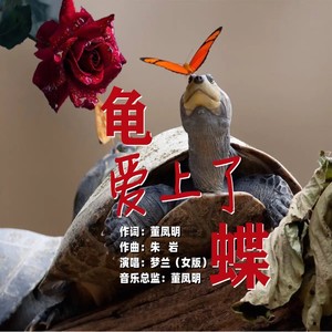 龟爱上了蝶 (伴奏)