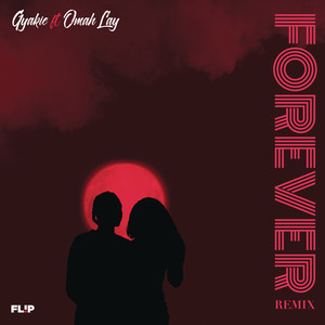 Forever (Remix)