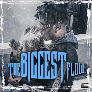 Biggest Flow (Explicit)