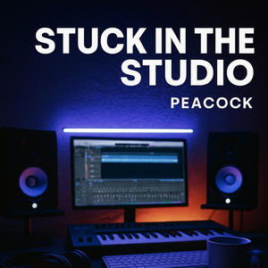 Stuck In The Studio (Explicit)