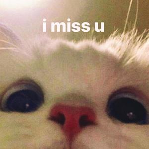 jinnwilliam - 4 More (Explicit)