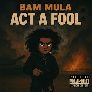 Act á Fool (Radio Edit|Explicit)