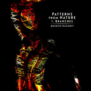 Patterns from Nature I. Branches