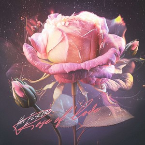 Rose of Love (prod. by Young R)