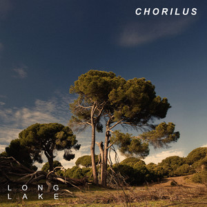 Chorilus