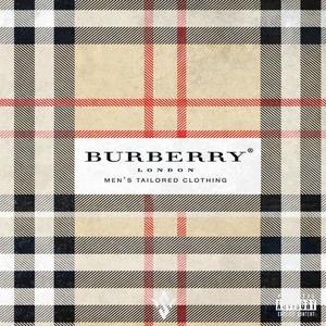 Burberry (feat. Shak Stzy) [Explicit]