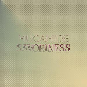 Mucamide Savoriness