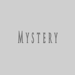 Mystery (feat. SHAWN WEST Beats)