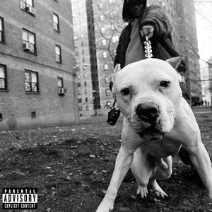 Twice as Deep (Explicit)