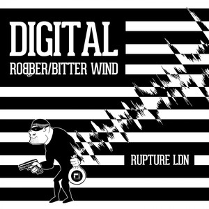 Robber (Original Mix)