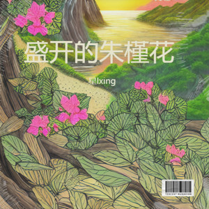盛开的朱槿花