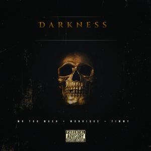 Darkness (feat. Timmy & Mr Too Much)