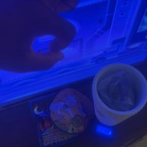 Paper route (feat. GrindHard) (Explicit)