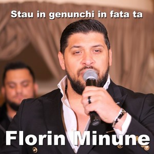 Stau in genunchi in fata ta