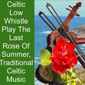 Celtic Low Whistle Play The Last Rose Of Summer, Traditional Celtic Music (INSTRUMENTAL)