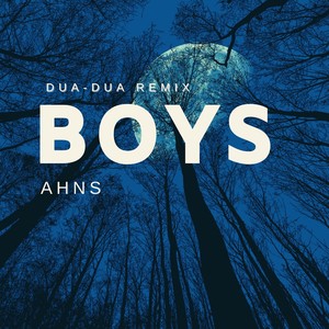 Boys (Remix)