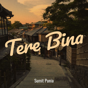 Tere Bina