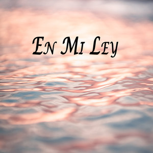 DJ Metys - En Mi Ley
