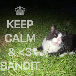 WE <3 BANDIT! (sped up)