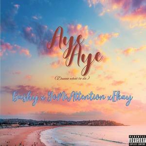 Aye (feat. Bashy & ÉKAY) (Explicit)
