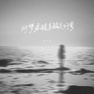好梦易醒易醒是好梦 (DJ西米版)