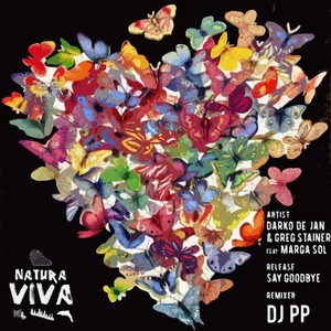 Say Goodbye (DJ PP Dub Mix)