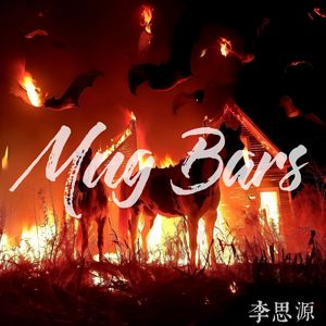 Mug Bars