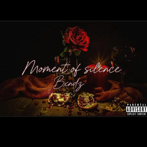 Moment of silence (redroped) [Explicit]