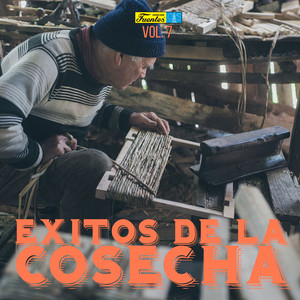 Éxitos de la Cosecha(Volumen 8 Música de Vereda y Carrilera)