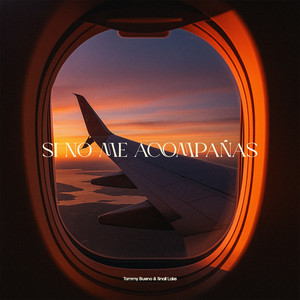Si No Me Acompañas