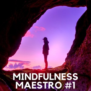 Mindfulness Maestro #1 - Top Meditation Music for Spa, Massage and Relaxation