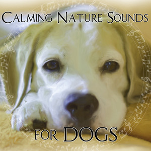 Calming Nature Sounds for Dogs – Music Therapy for Pets While You Are out, Relaxing Anti Stress Sounds