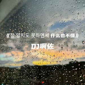 起风了 (琵琶版)