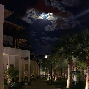 Devil on my Shoulder (Explicit)