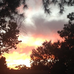 Resonance(Welcome Home)