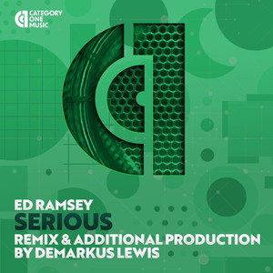 Serious (DL Nu Dizko Revamp Mix)