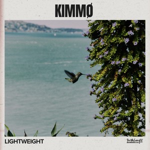Lightweight