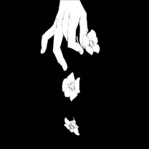 【紫金堂】绝世月光