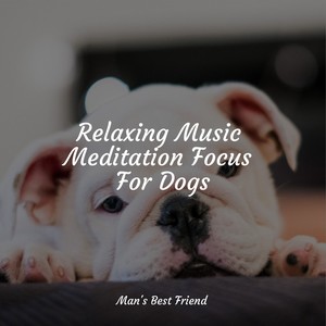 Relaxing Music Meditation Focus For Dogs