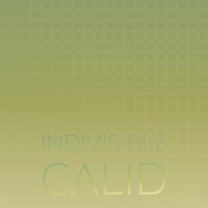 Indivisible Calid