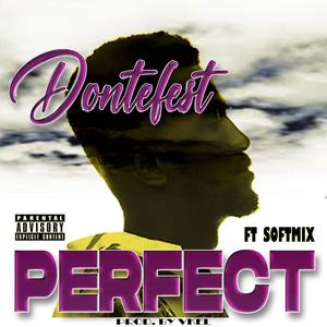 Perfect (feat. Softmix)