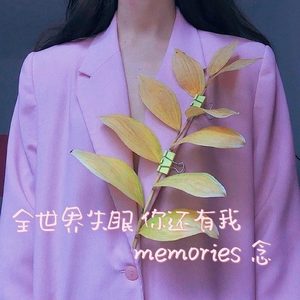 曾经和你说过晚安的人，还在你的身边吗 (DJ长音频) - Memories 念封面
