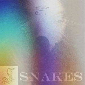 snakes (feat. him1) (Explicit)