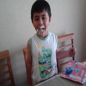 BronyaRanderianu - don pollo (Explicit)