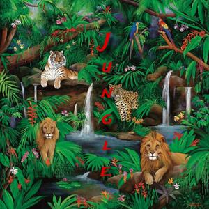 Jungle (Explicit)