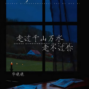 走过千山万水走不过你封面
