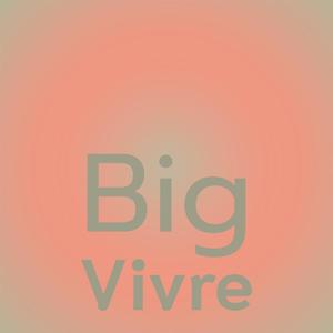 Big Vivre