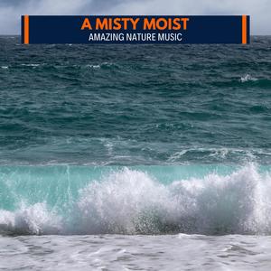 A Misty Moist - Amazing Nature Music