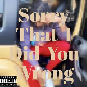 Sorry That I Did You Wrong (Explicit)